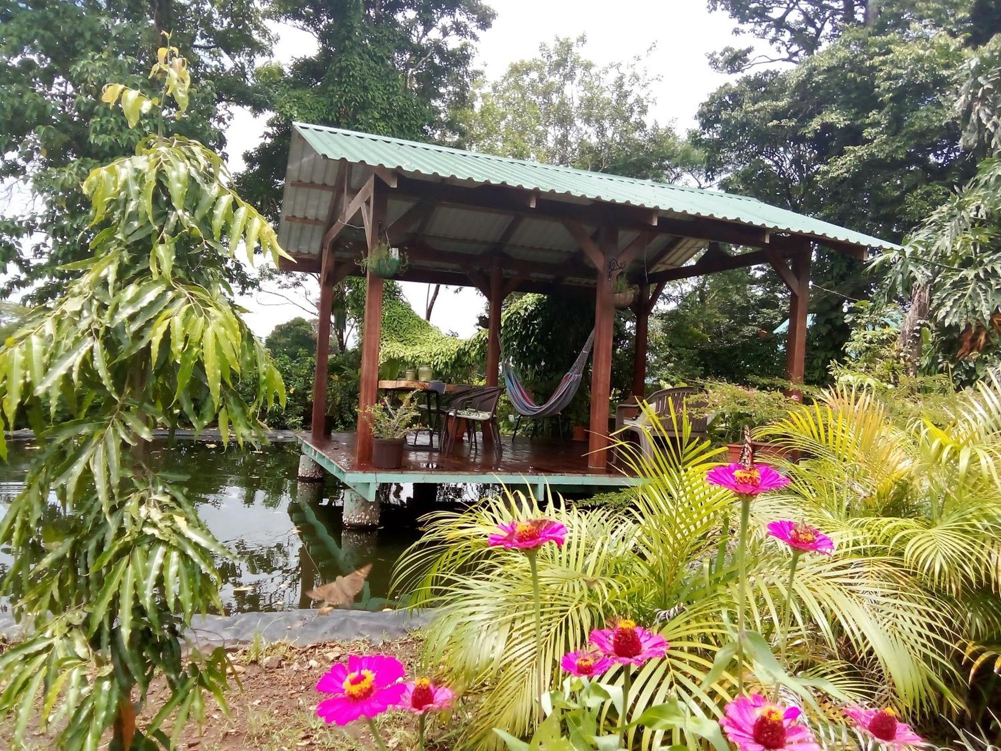 Greenhouse Loft Miravalles Aguas Claras  Exterior photo